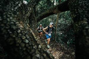 BIB: 
                            <button type="button" onclick="openModal(25391960)" class="btn btn-primary btn-sm float-right btn-popup" data-toggle="modal" data-target=".modal-high-quality">
                        <i class="fas fa-shopping-cart"></i> Add to Cart
                    </button>
                                            <button type="button" onclick="isThisMe(25391960, true)" class="btn btn-success btn-sm float-right btn-popup btn-isme hidden" data-toggle="tooltip" data-placement="bottom" title="นี่คือรูปของคุณใช่ไหม คลิกที่นี่เพื่อเอาเข้าอัลบั้ม">
                        <i class="fas fa-plus"></i> Add to album
                    </button>
                    <button type="button" onclick="isThisMe(25391960, false)" class="btn btn-warning btn-sm float-right btn-popup btn-isnotme hidden">
                        <i class="fas fa-ban"></i> Remove from album
                    </button>